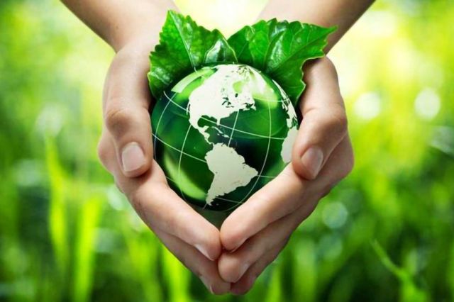 “Rumahku” Contoh Green Building