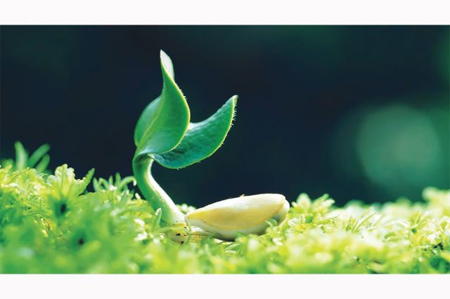 Setia dalam Perkara Kecil